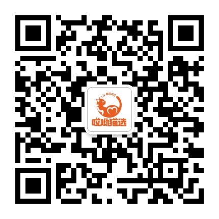 哎呦猫选二维码